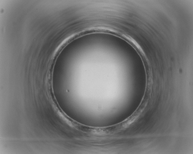 X0000081390799200701252103