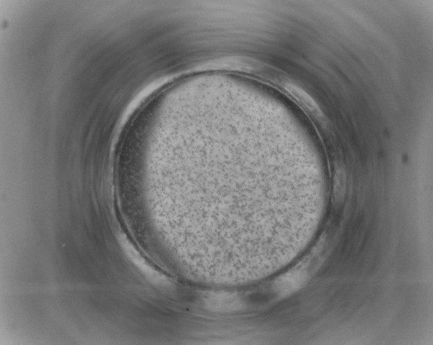 X0000081390800200701252103