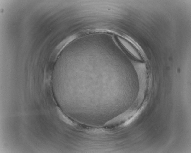 X0000081390801200701252103