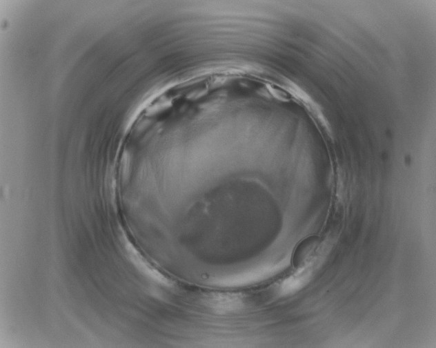 X0000081390802200701252103