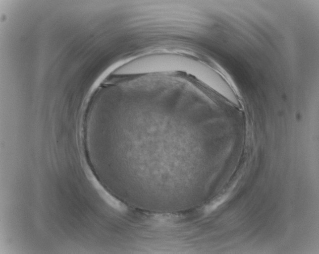 X0000081390803200701252103