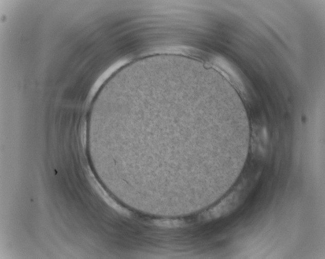 X0000081390804200701252103