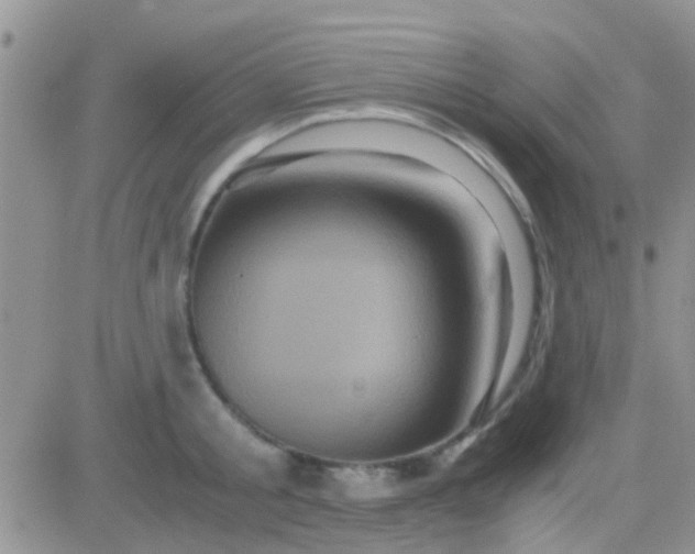 X0000081390805200701252103