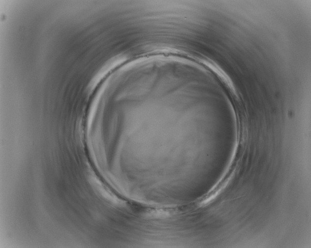 X0000081390806200701252103