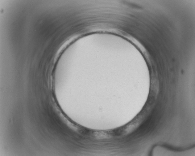 X0000081390807200701252103