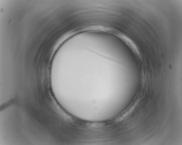 X0000081390808200701252103