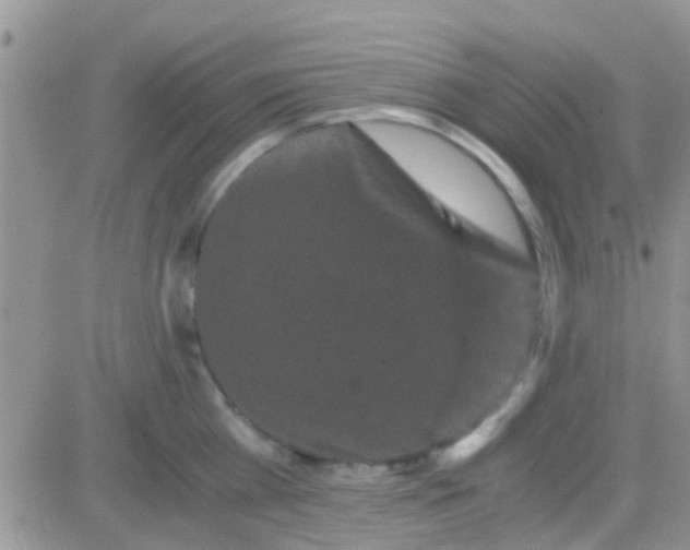 X0000081390809200701252103