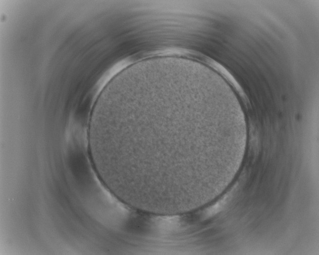 X0000081390810200701252103