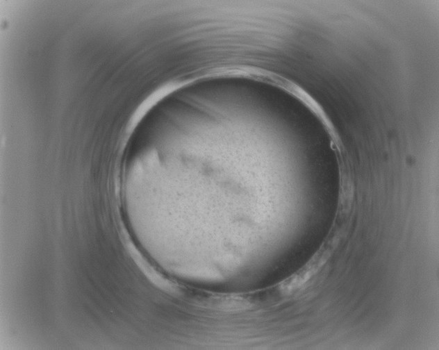 X0000081390811200701252103