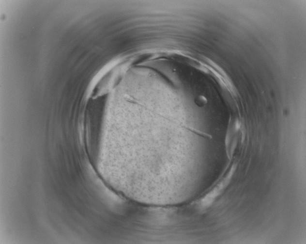 X0000081390812200701252103