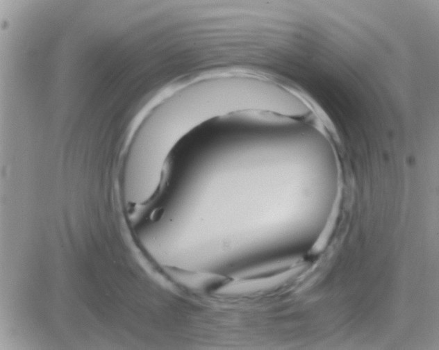 X0000081390813200701252103