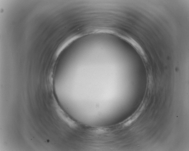 X0000081390814200701252103