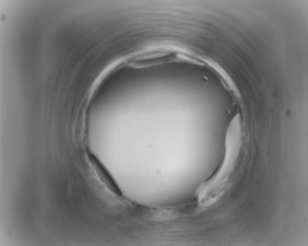 X0000081390815200701252103