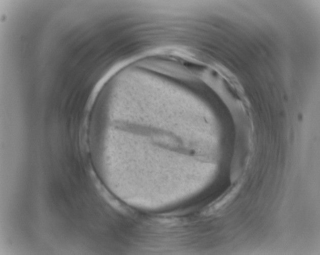 X0000081390816200701252103