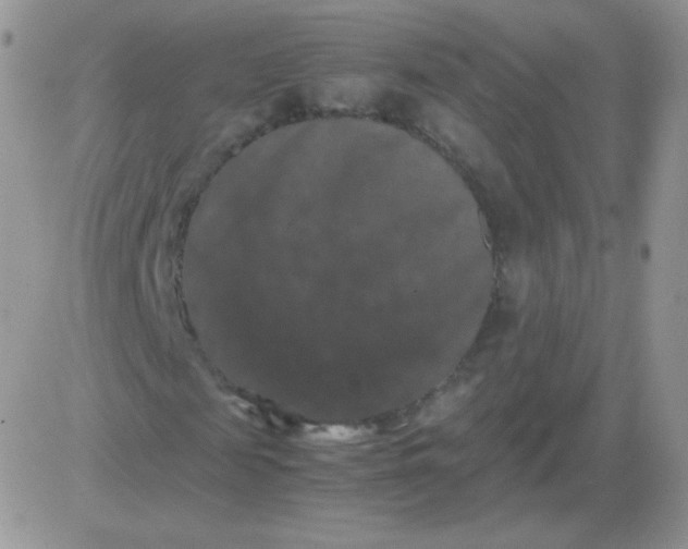 X0000081390817200701252102