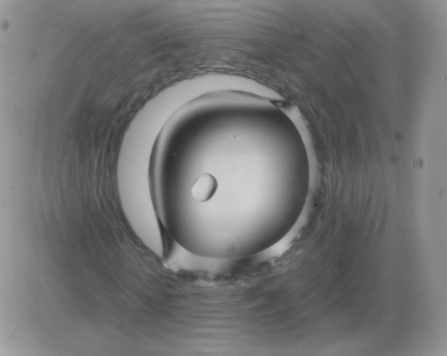 X0000081390818200701252102