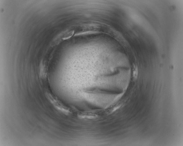 X0000081390819200701252102