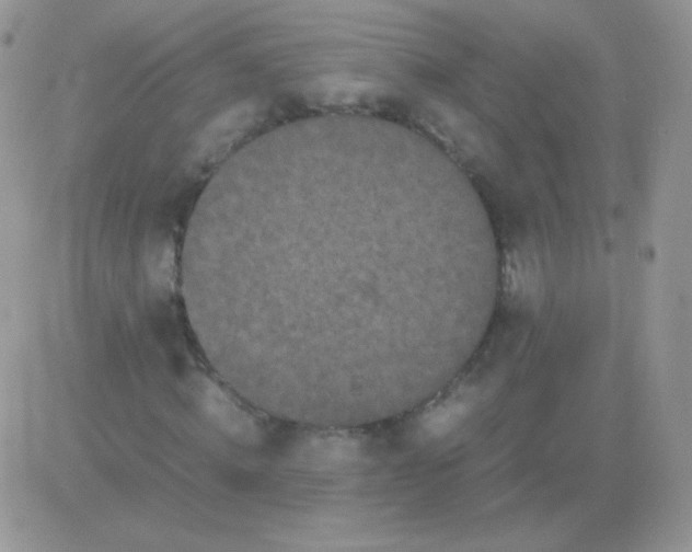 X0000081390820200701252102