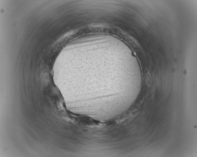 X0000081390821200701252102