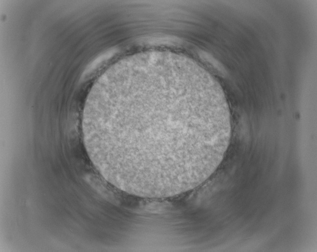 X0000081390824200701252102