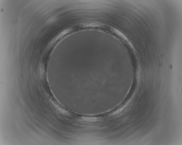 X0000081390825200701252102