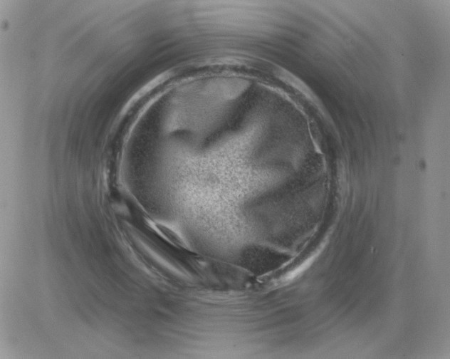 X0000081390826200701252102