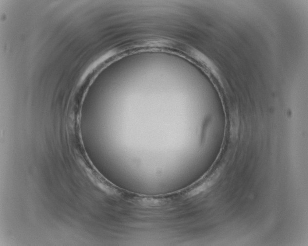 X0000081390827200701252102