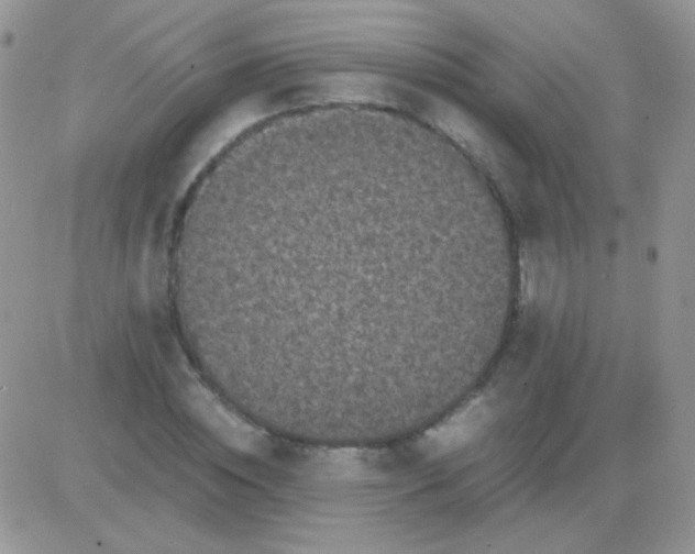 X0000081390828200701252102