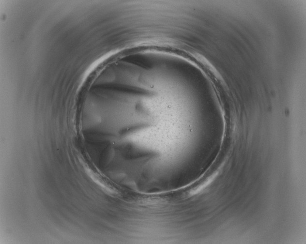 X0000081390830200701252102