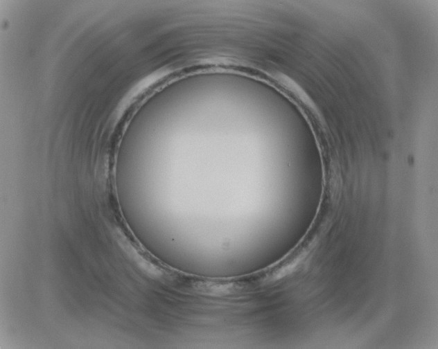 X0000081390831200701252102