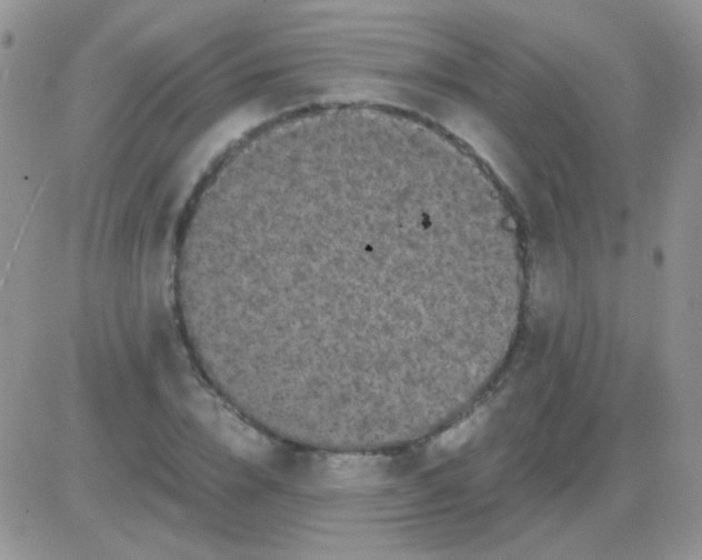 X0000081390832200701252102