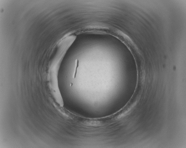 X0000081390833200701252102