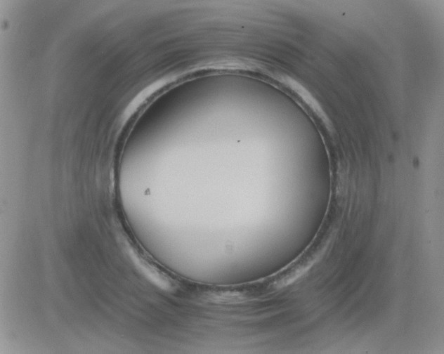 X0000081390837200701252102