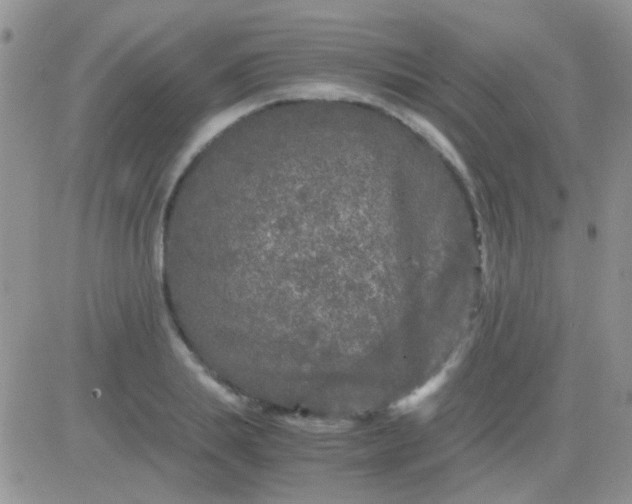 X0000081390839200701252102