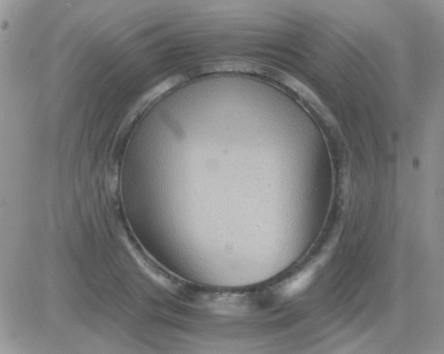 X0000081390841200701252102