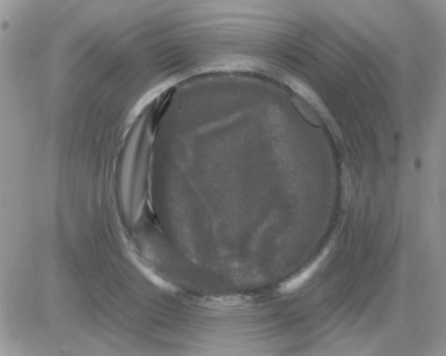 X0000081390842200701252102