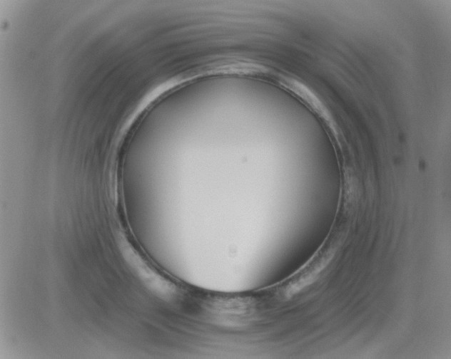 X0000081390843200701252102