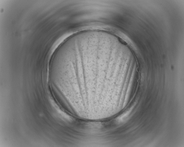 X0000081390844200701252102