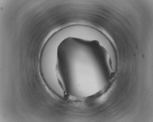 X0000081390845200701252102