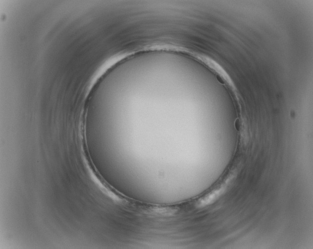 X0000081390847200701252102