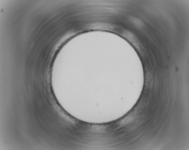 X0000081390848200701252102