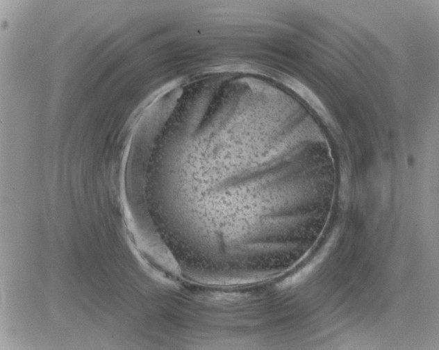 X0000081390849200701252102