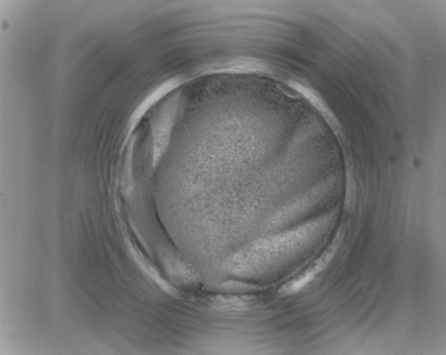 X0000081390850200701252102