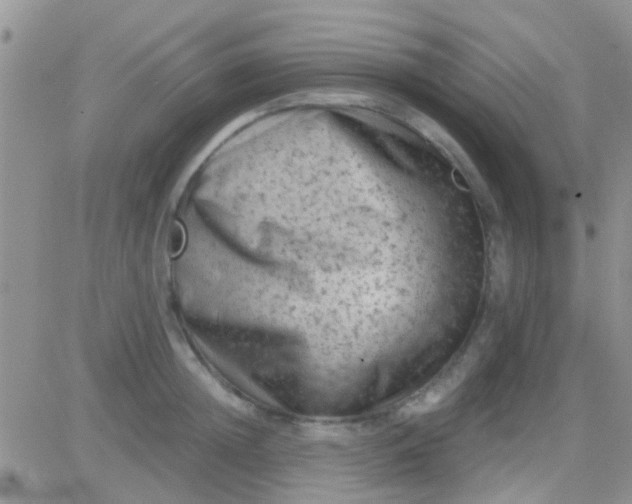 X0000081390852200701252102