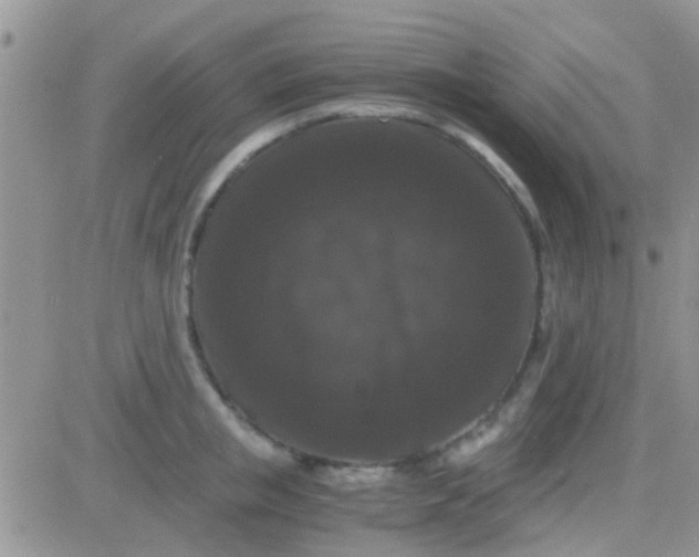 X0000081390853200701252102