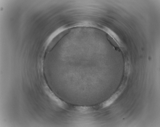 X0000081390854200701252102