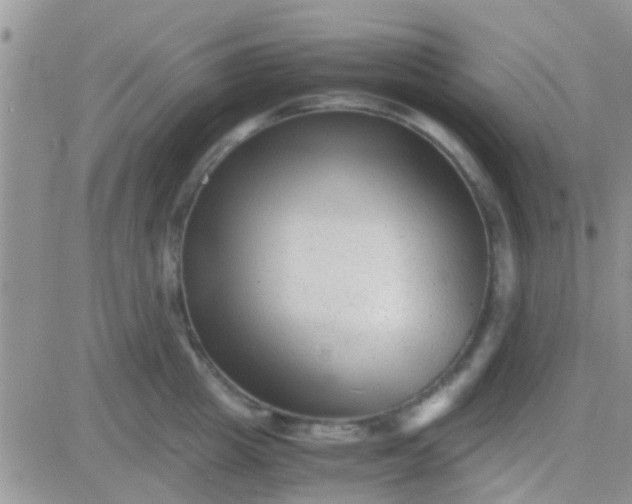 X0000081390857200701252102