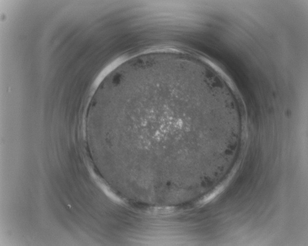 X0000081390858200701252102