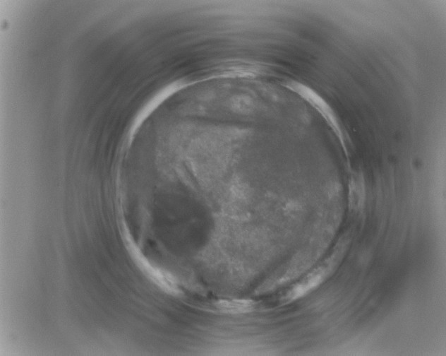 X0000081390859200701252102