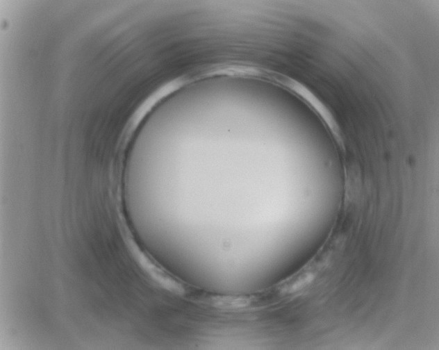 X0000081390861200701252102